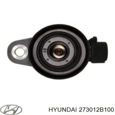 Катушка зажигания HYUNDAI 273012B100