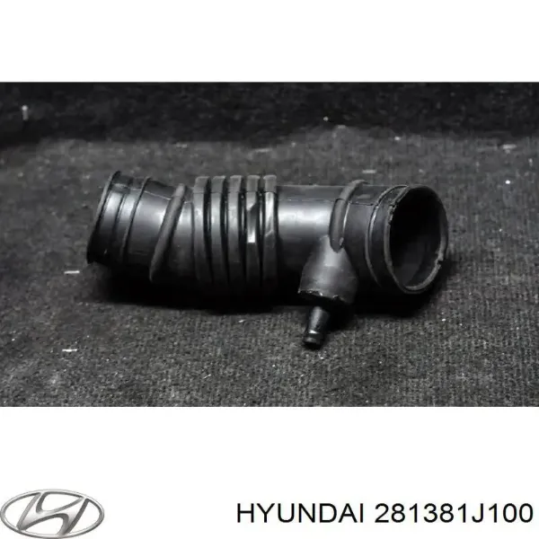 281381J100 Hyundai/Kia 