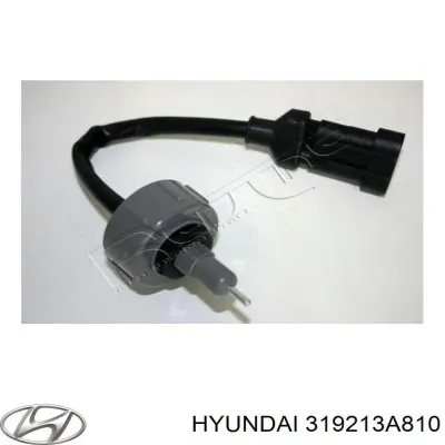 Датчик уровня воды топливного фильтра HYUNDAI 319213A810