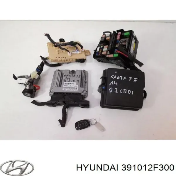  391012F300 Hyundai/Kia