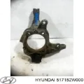 Цапфа передняя левая Hyundai Santa Fe DM