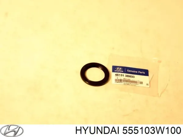 Стабилизатор задний 555103W100 Hyundai/Kia