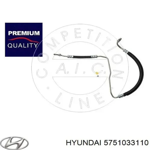 Паразитный ролик 5751033110 Hyundai/Kia