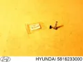 Направляющая суппорта переднего нижняя HYUNDAI 5816233000