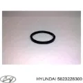 Сальник суппорта заднего HYUNDAI 5823228300