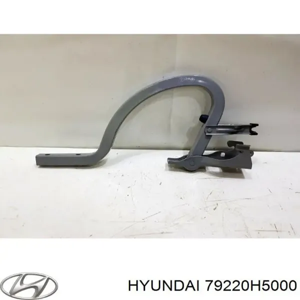 Петля крышки багажника 79220H5000 Hyundai/Kia