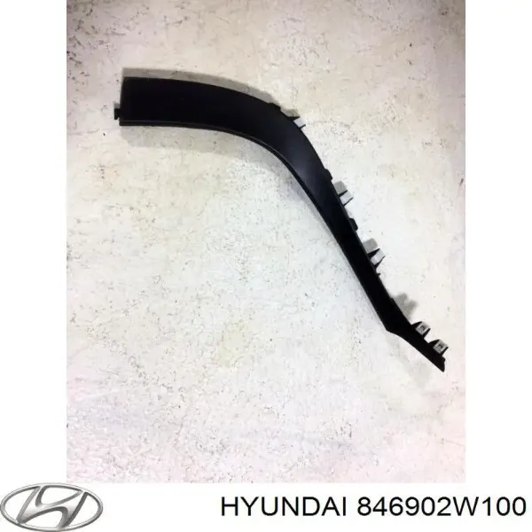  846902W100 Hyundai/Kia