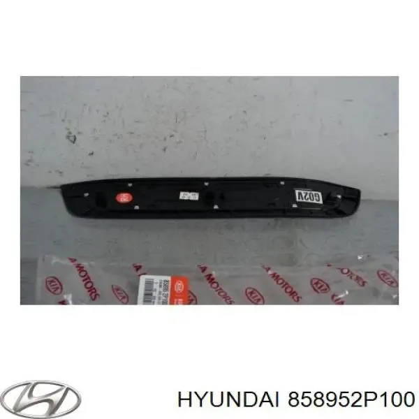  858952P100 Hyundai/Kia