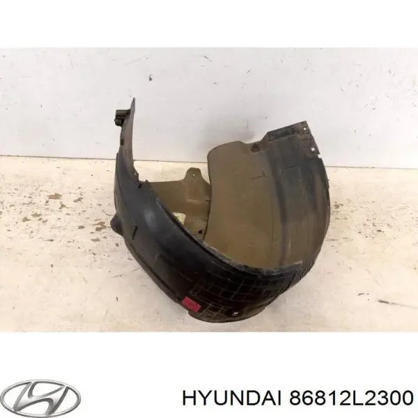 Подкрылок передний правый 86812L2300 Hyundai/Kia
