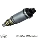 Клапан компрессора кондиционера HYUNDAI 976743M001