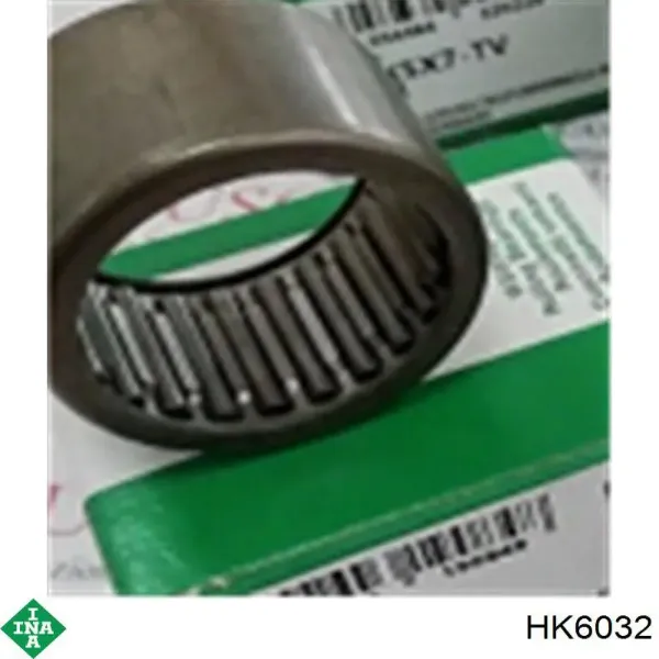  HK6032 INA