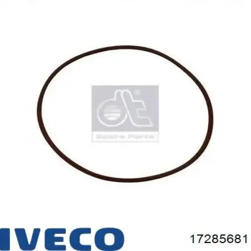 Прокладка водяной помпы 17285681 Iveco