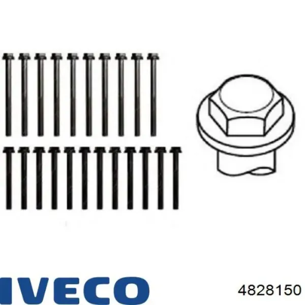 Болт ГБЦ 4828150 Iveco
