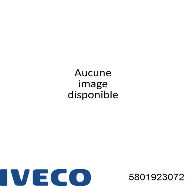 Прокладка EGR-клапана рециркуляции 5801923072 Iveco