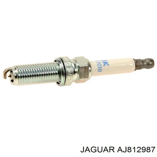 Свечи зажигания AJ812987 Jaguar
