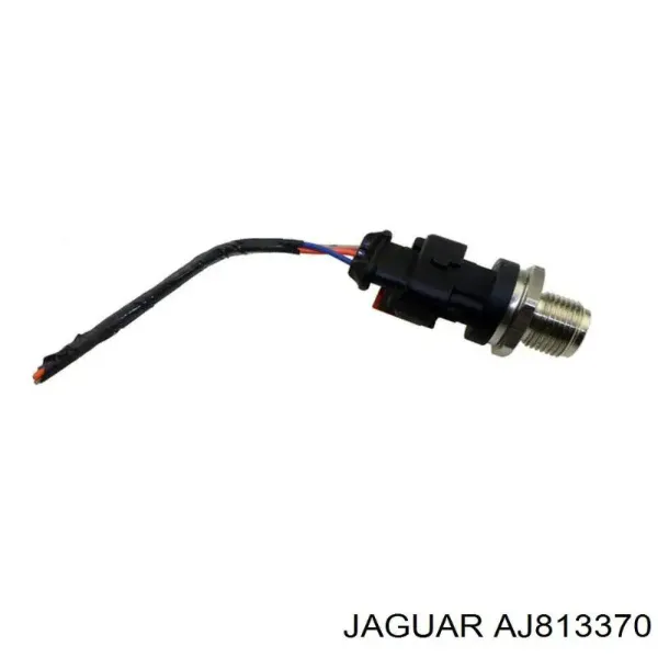 Распределитель топлива (рампа) AJ813370 Jaguar