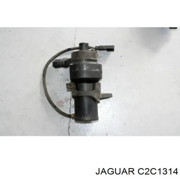  C2C1314 Jaguar