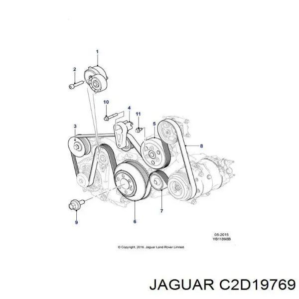  C2D19769 Jaguar