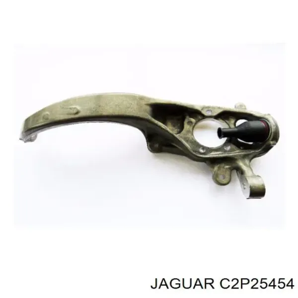 Цапфа передняя левая C2P25454 Jaguar