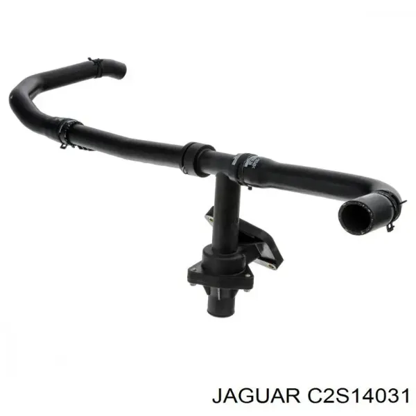  C2S14031 Jaguar