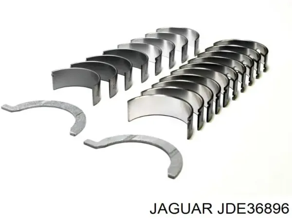  JDE36896 Jaguar
