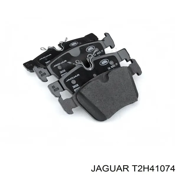  T2H41074 Jaguar