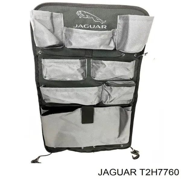  T2H7760 Jaguar