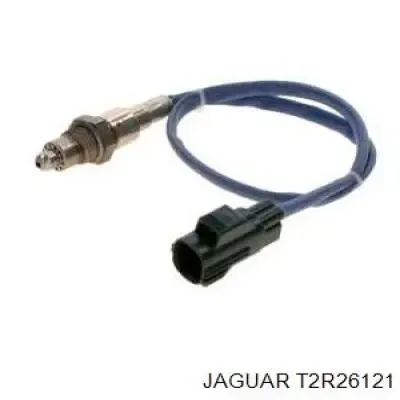  C2D28856 Jaguar
