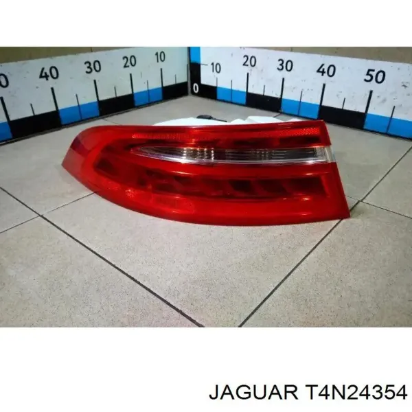  T4N39459 Jaguar