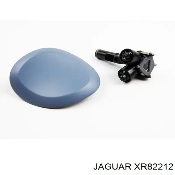  XR82212 Jaguar