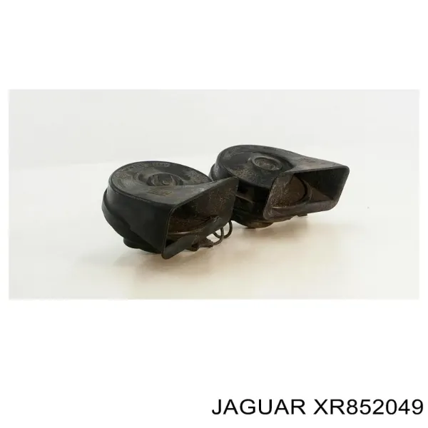  XR852049 Jaguar