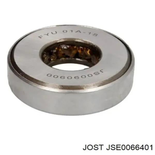  JSE0066401 Jost
