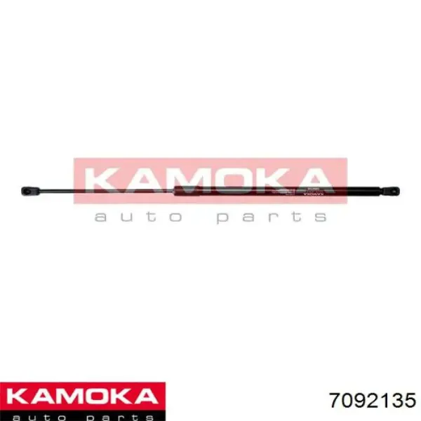 Амортизатор багажника 10100393 Depo/Loro/Abakus