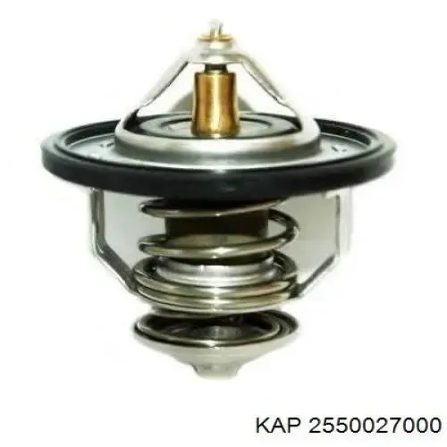 Термостат 2550027000 KAP