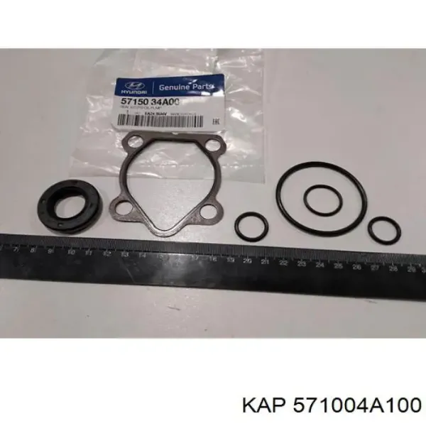 Насос ГУР KM0703101RBLT KAP