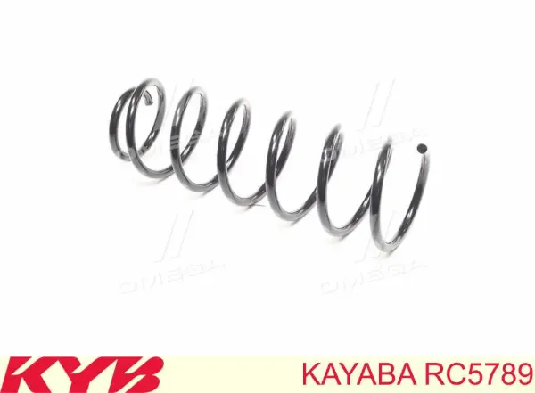 Задняя пружина SR019TP Raiso