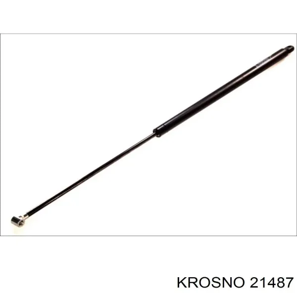  Амортизатор багажника Fiat Ducato 1