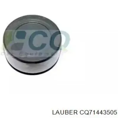 Поршень суппорта тормозного переднего RK83030 Goodrem