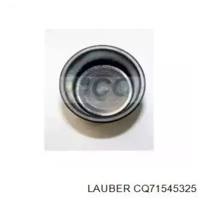 Поршень тормозного суппорта переднего на Audi 80 B3 89, 89Q, 8A