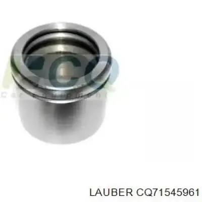 Поршень суппорта тормозного переднего P545801MSG MSG