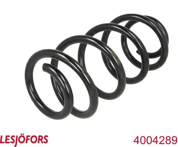 Передняя пружина SF124TP Raiso