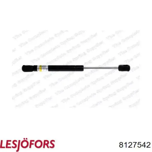 Амортизатор багажника GS0289 Magneti Marelli