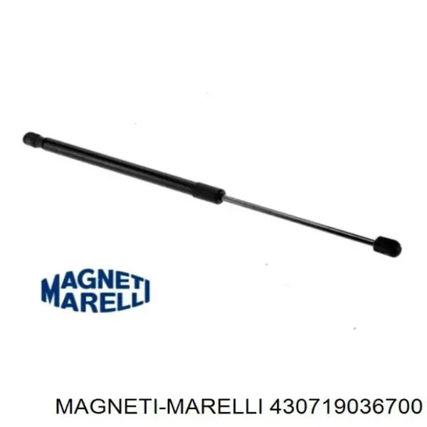 Амортизатор багажника 430719036700 Magneti Marelli