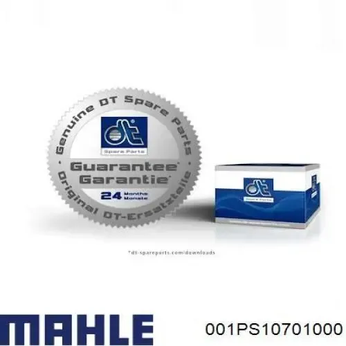 Вкладыши шатунные 001PS10701000 Mahle Original