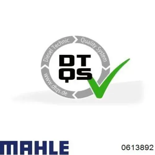 Комплект поршневой 0613892 Mahle Original