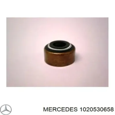 Сальник клапана (маслосъёмный) впускного, комплект MERCEDES 1020530658