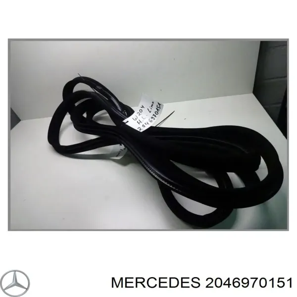  2046970151 Mercedes
