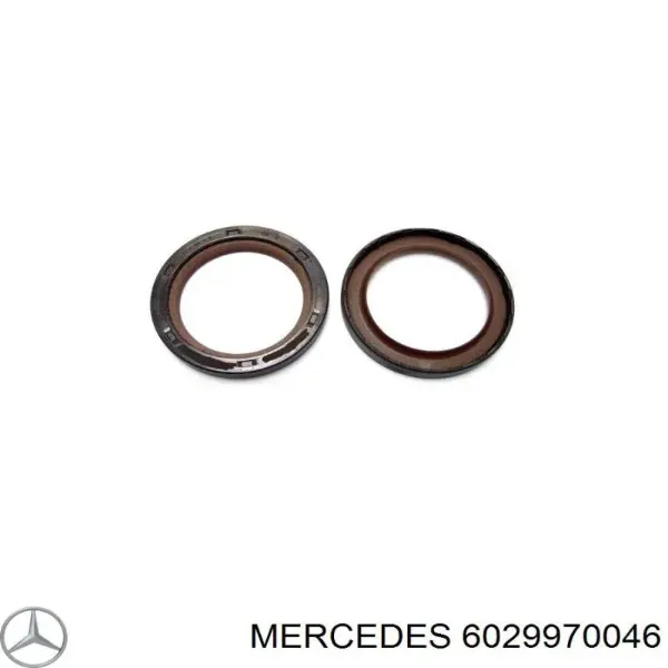 Сальник ТНВД 6029970046 Mercedes