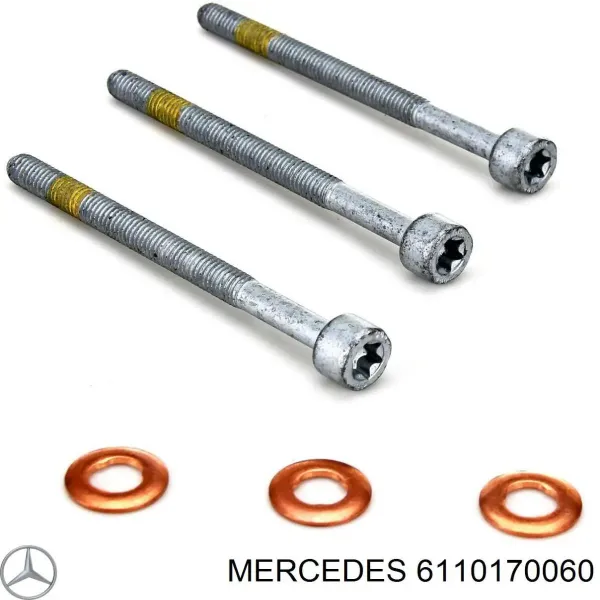 Кольцо форсунки инжектора посадочное Mercedes 6110170060