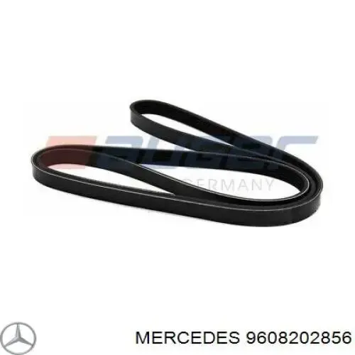  9608202856 Mercedes